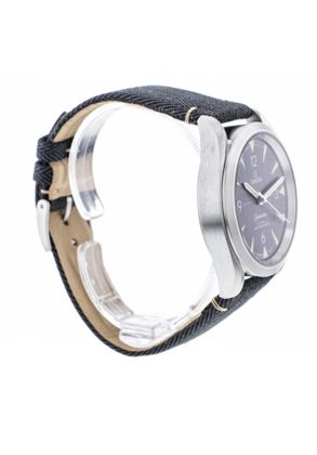 OMEGA Railmaster Co-Axial Master Chronometer