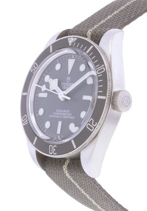 TUDOR Black Bay 58 Argent