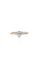 small-image