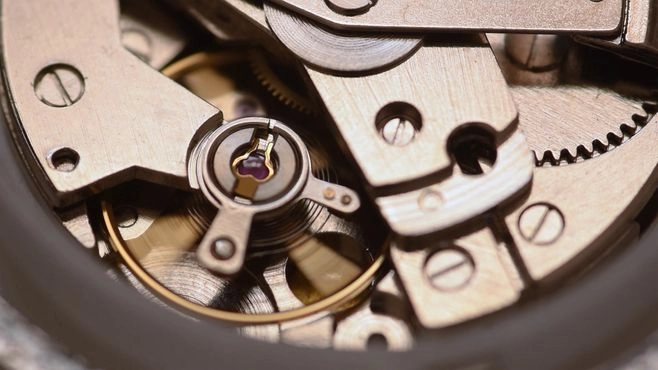 What is the magnetization of a watch?