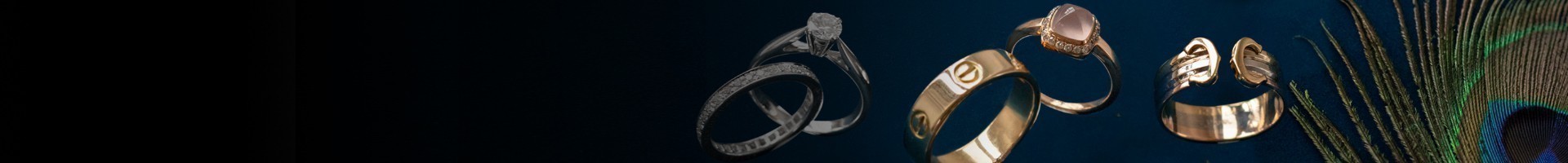 The Rings The Rings